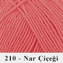 210 - Nar Çiçeği