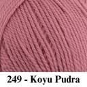 249 - Koyu Pudra