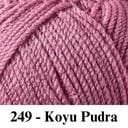 249 - Koyu Pudra