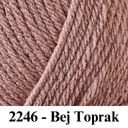 2246 - Bej Toprak