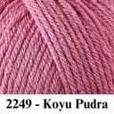 2249 - Koyu Pudra